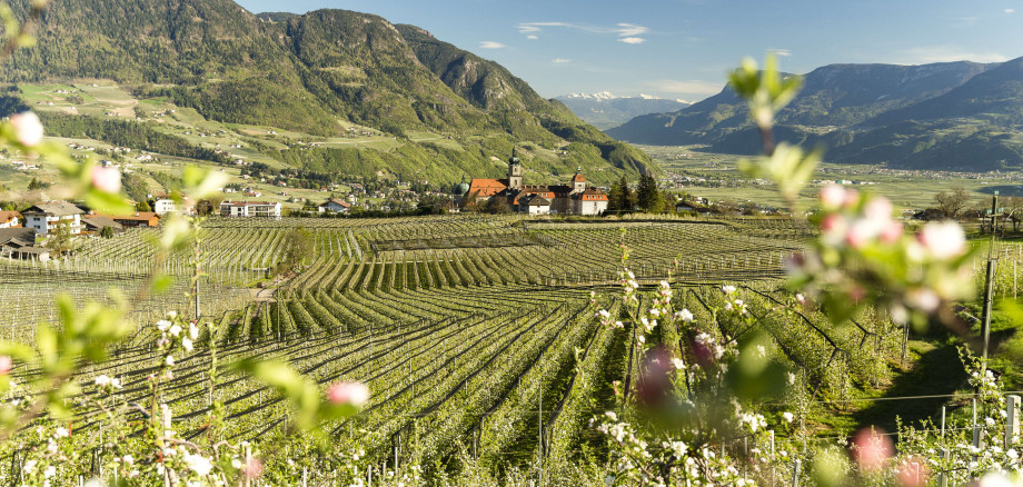 Blütenwoche Frühling in Dorf Tirol