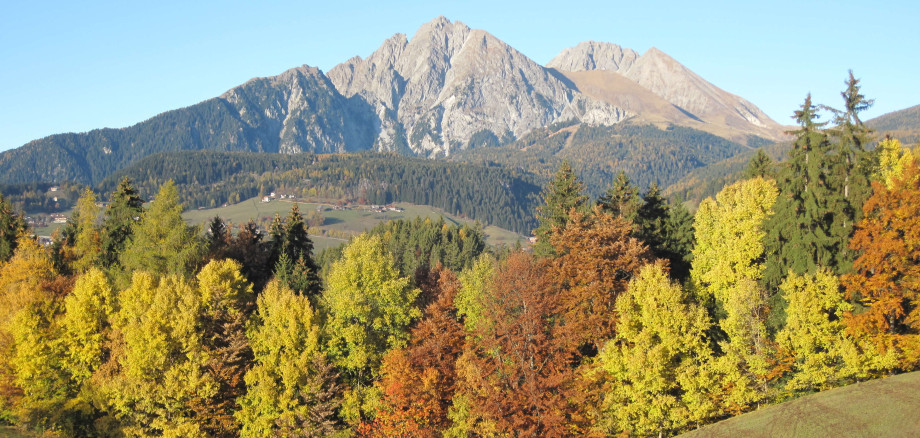 Goldener Herbst in Dorf Tirol Goldener Herbst in Dorf Tirol