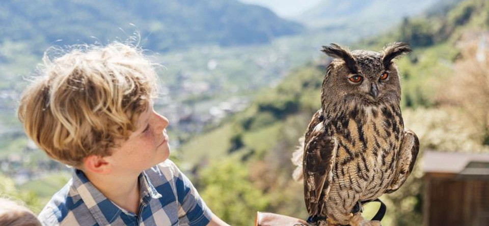 I bambini a Dorf Tirol I bambini a Dorf Tirol