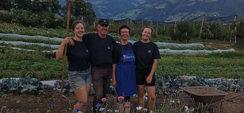 Landwirtschaft in Dorf Tirol Landwirtschaft in Dorf Tirol