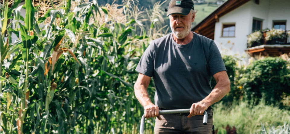 Landwirtschaft in Dorf Tirol Landwirtschaft in Dorf Tirol
